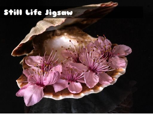 Still Life Jigsaw — Quebra-cabeça